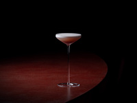 Cocktail Course (4 glasses)