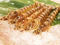 <昼>お盆期間限定コース　(8/14～17日にご来店の方はこちらでご予約をお願いします。）