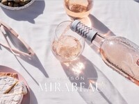 [Event Exclusive] Mirabeau Free Flow Plan!