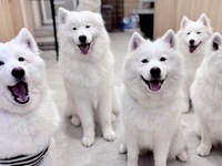 <<Summer Vacation Period (Weekdays)>> Regular Ticket (50 minutes)