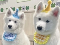 <<Summer Vacation Period (Saturdays, Sundays, and Holidays)>> Regular ticket (50 minutes)