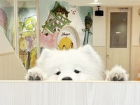 <<Summer Vacation Period (Weekdays)>> Regular Ticket (50 minutes)