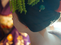 [August 23rd] Special Dinner Plan with Maiko and Geiko