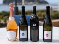 ノンアルコールペアリング４杯