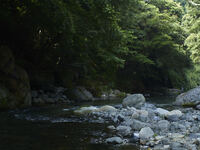 [Irori Room] Tasting Course - Non-alcoholic Pairing