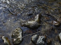 [Kino-no-Ma] Tasting Course - Alcohol Pairing