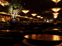 【ディナー】席のみ予約