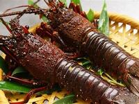 [All-you-can-drink including sparkling] Live abalone, spiny lobster (half), carefully selected domestic beef sirloin steak, etc.