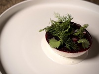 Dinner course Nœud Vegan with 7 types of pairing drinks
