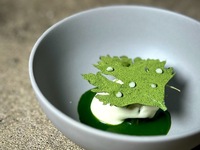 Dinner course Fil Vegan 