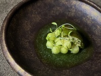 Vegan Lunch Course (Saturday only)