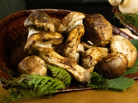 Seasonal Specialty Course ～Kobe Beef and the Bounty of Autumn～【September 1st ｰ November 1st】