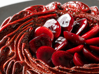 【MENU CARTE 3皿】 全7品+グラスロゼシャンパーニュ+ホールケーキ付き