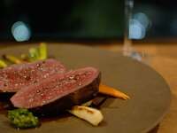 Hokkaido ELEZO Ezo deer