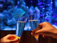 【含畅饮方案】适合3–20位客人！「B 套餐」＋「含啤酒畅饮」