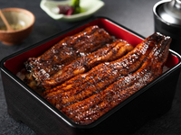 Special Unaju (whole eel) from Osumi, Kagoshima