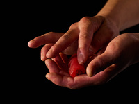 Omakase Lunch Course with Non-alcohol & tea pairing