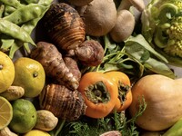 Vegan Dinner Course 【20% Time Sale】