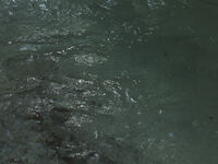 Tasting Course ＋Non alcohol Pairing