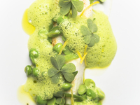 naturamディナーコース（8品）