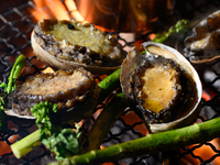 薪焼き鮑ディナーコース¥19800