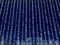 香港夜会　週末ディナー