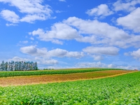 【Exclusive Course for Furusato Nouzei Tax Donors to Memuro Town Hokkaido】Omakase Course