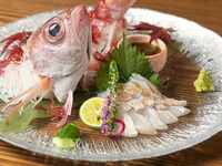 【会員様】【先行予約】旬の食材とのどぐろ尽くしコース3/1-4/30