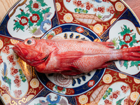 【추가 옵션※코스 전용】킨키