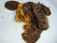 CORSO DEGSTAZIONE Full course Various dishes with small portions