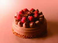 生チョコレートケーキ　18センチ