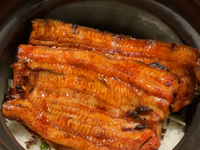 銀座　鰻炭火焼き　釜炊き飯　極