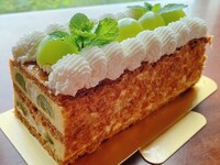 ミルフィーユバンド-シャインマスカット-16㎝