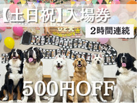 Tiket sa pagpasok (Sabado, Linggo, at pista opisyal)