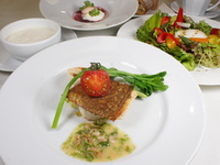 【Saisonnier～セゾニエール ポワソン～】神奈川野菜サラダ、鮮魚など全5品