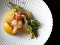 [From December 18th] Yasaka - Festive Dinner Course