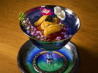 【お茶室でのお抹茶付き】鮨 特上OMAKASEコース