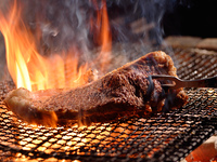 [※Only holiday※ Special Lunch Course ] + ☆2 hours free flow☆