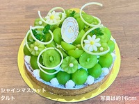 [Reservations available from July 12th] 🍑Peach Special Tart🍑 Whole peach + (surrounding) peaches only🍑 [Diameter approx. 18cm] For around 4 people [7,158 yen excluding tax]