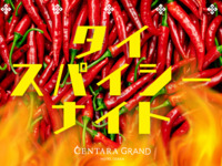 【お日にち限定！】タイ・スパイシー・ナイト