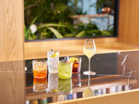 【PARTY PLAN】 플래터 공유 코스 +120분 음료 무제한(L.O.90분)