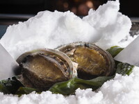 秋のブライダルフェア【試食付き人気の鮑のコース！組数限定】  2025.10/4(土)・5(日)