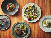 New【Chef's Special Course】Amuse, Appetizer, Fish, Meat, Dessert