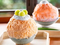 Summer Seasonal — 五木茶屋 Special Fresh Fruit Kakigori (Shaved Ice)