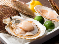 Shinzan Dinner Course