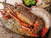 【伊勢海老コース】