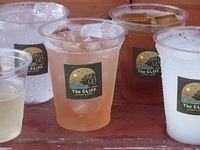 【アルコール飲み放題コース  2時間制】 