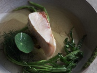 【メイン魚料理付き】prefix course 