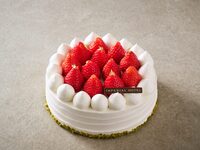 15cm/Strawberry Shortcake