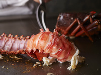 【椿 -Tsubaki-】 Meat and Seafood Balance Course